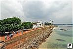    (Galle), -.