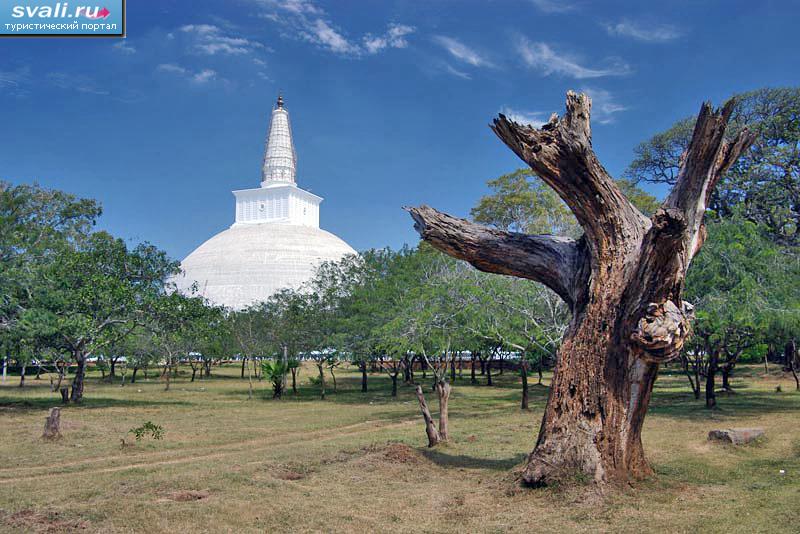    (Ruwanweli),  (Anuradhapura), -.