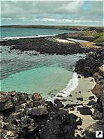   (Genovesa),   (Galapagos islands), .