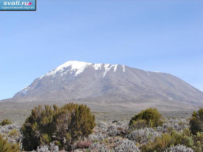    (Kilimanjaro), .