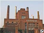  "Guinness"  , .