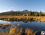    (Jasper National Park),   ,  , .