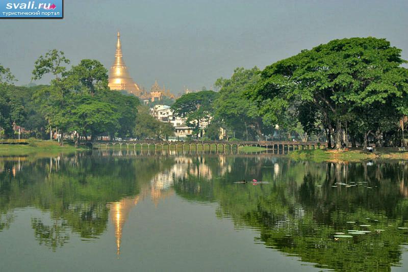   (Kandawgyi Lake),     (Shwedagon), ,  ().