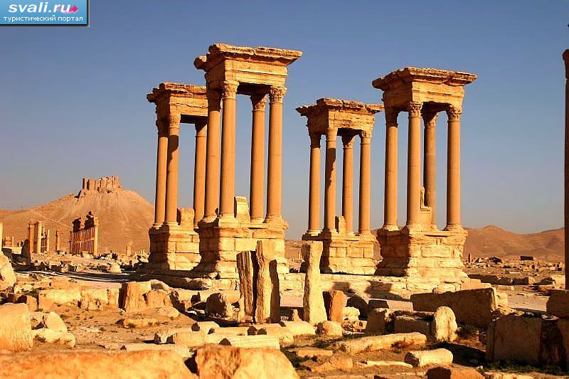  (Palmyra, ), .