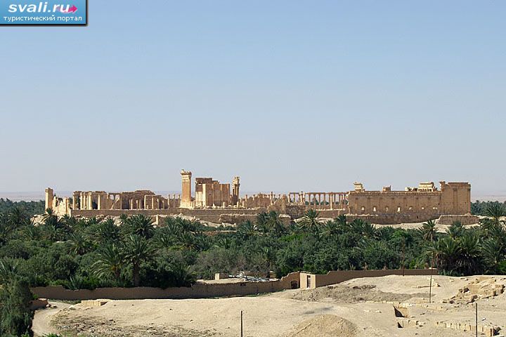   (, Baal),  (Palmyra, ), .
