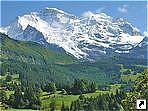   (Jungfrau), .