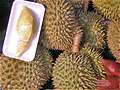 , Durian (Toorian)       . (600x450 141Kb)