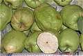 , Guava (fa-rang).