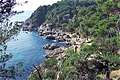 Lloret de Mar. . (800x533 213Kb)