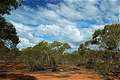 ,    Mungo Natonal Park, NSW,  (600x399 138Kb)