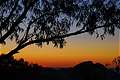 , Whitegum Lookout, Warrumbungle NP, NSW,  (600x399 140Kb)