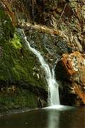 Lilydale Falls,  (426x640 123Kb)